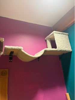 Cat shelves