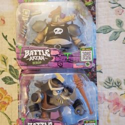 TEENAGE MUTANT NINJA TURTLES