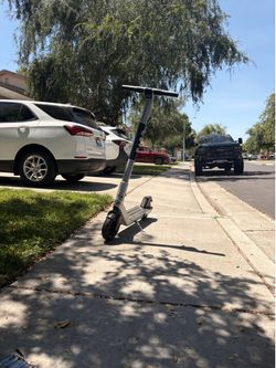 Electric Scooter Gray