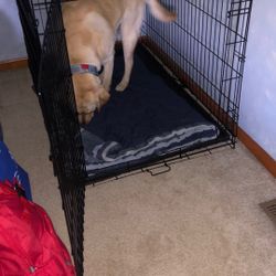 Extra Large Dog Crate