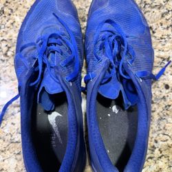 Blue Nike Free 5.0 Tr 