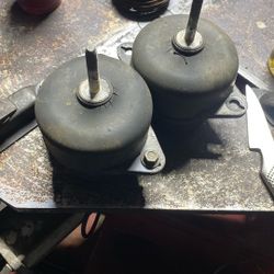 Mustang motor Mounts