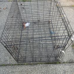 Large cage