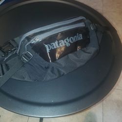 Patagonia Fanny Pack