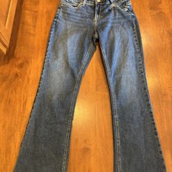 Woman’s silver jeans, brand new with tags shipping available