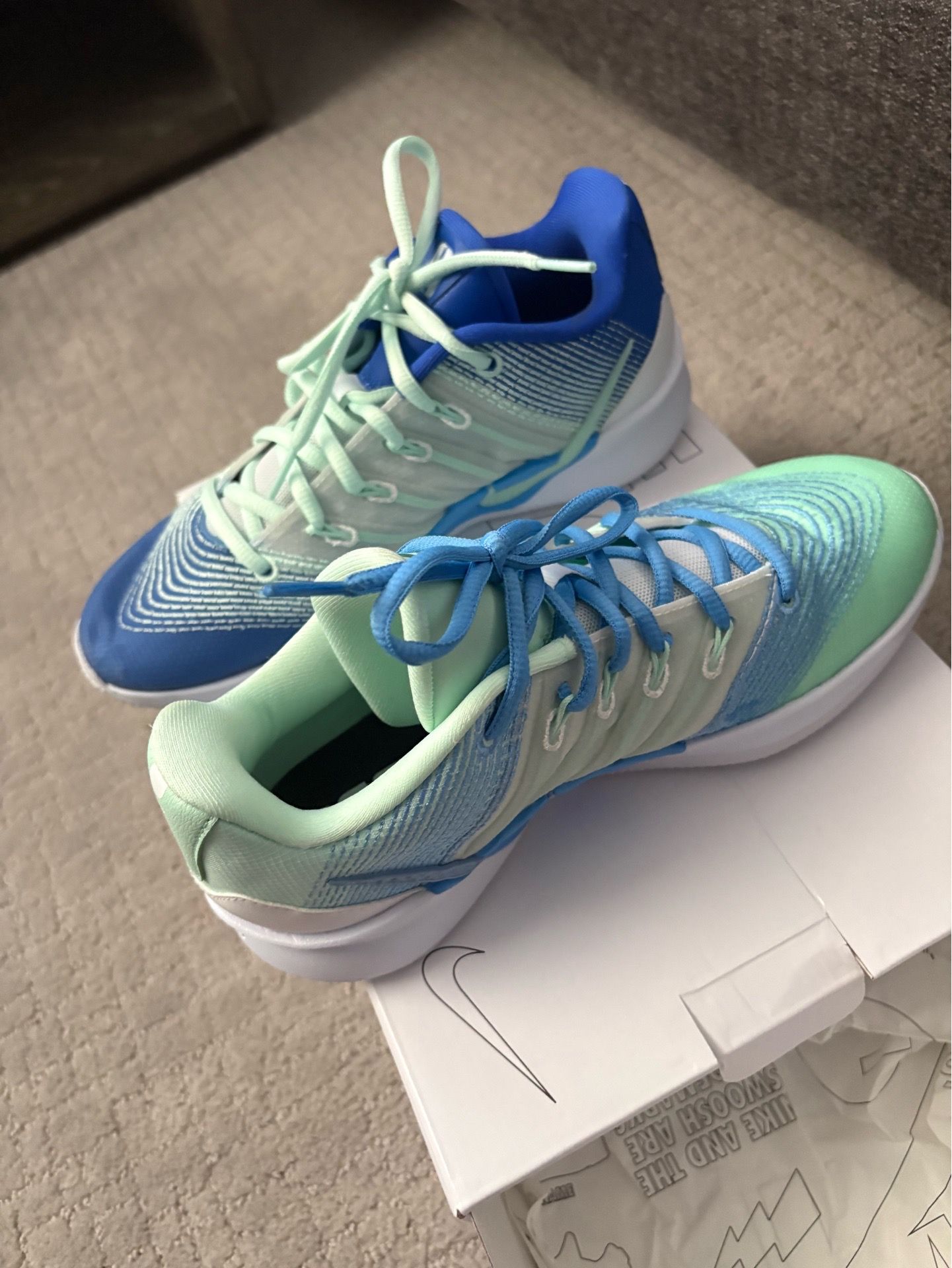 Brand new custom Nike basketball shoes size 7
