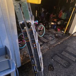Brand New Ladder Gorilla 