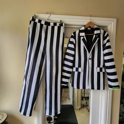 Beetlejuice Beetlejuice Beetlejuice Costume 