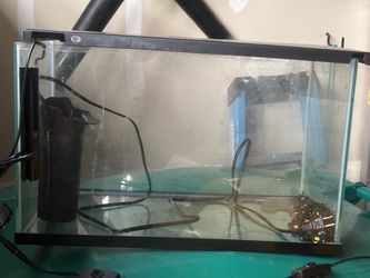 Fish tank and filter