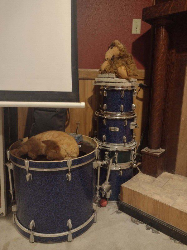 Mapex  Drums