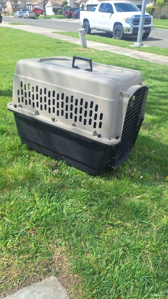 Free Cat, Dog Kennel Carrier