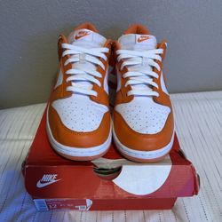 Nike Dunk Syracuse