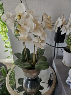 White Artificial Orchid Plant