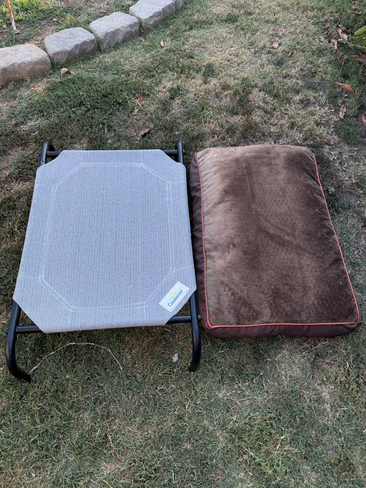 Coolaro Elevated Dog Bed and Matress 