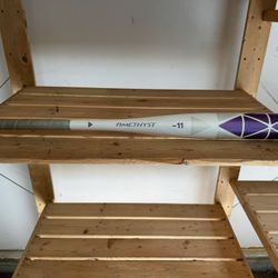 $30 Or Best Offer Easton Amethyst Bat