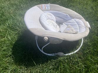 Baby Bouncer