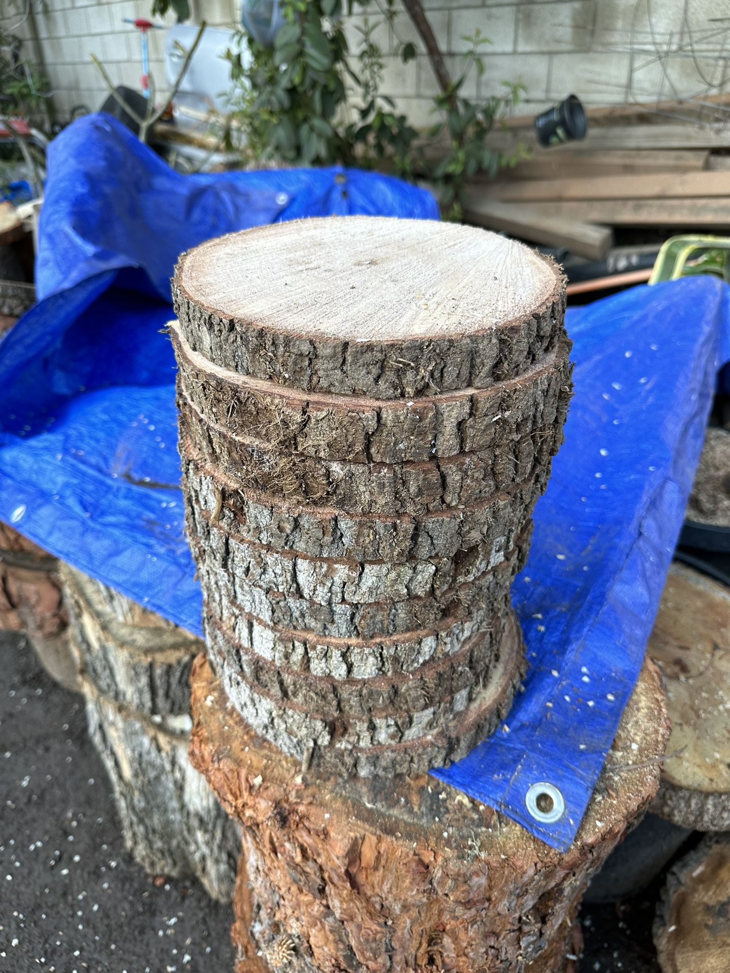 Wedding Decorations ( Wood Slices)