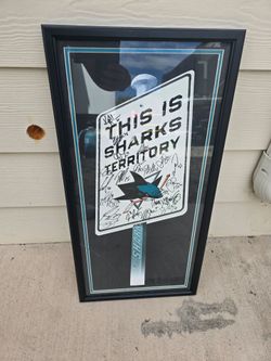 San Jose shark