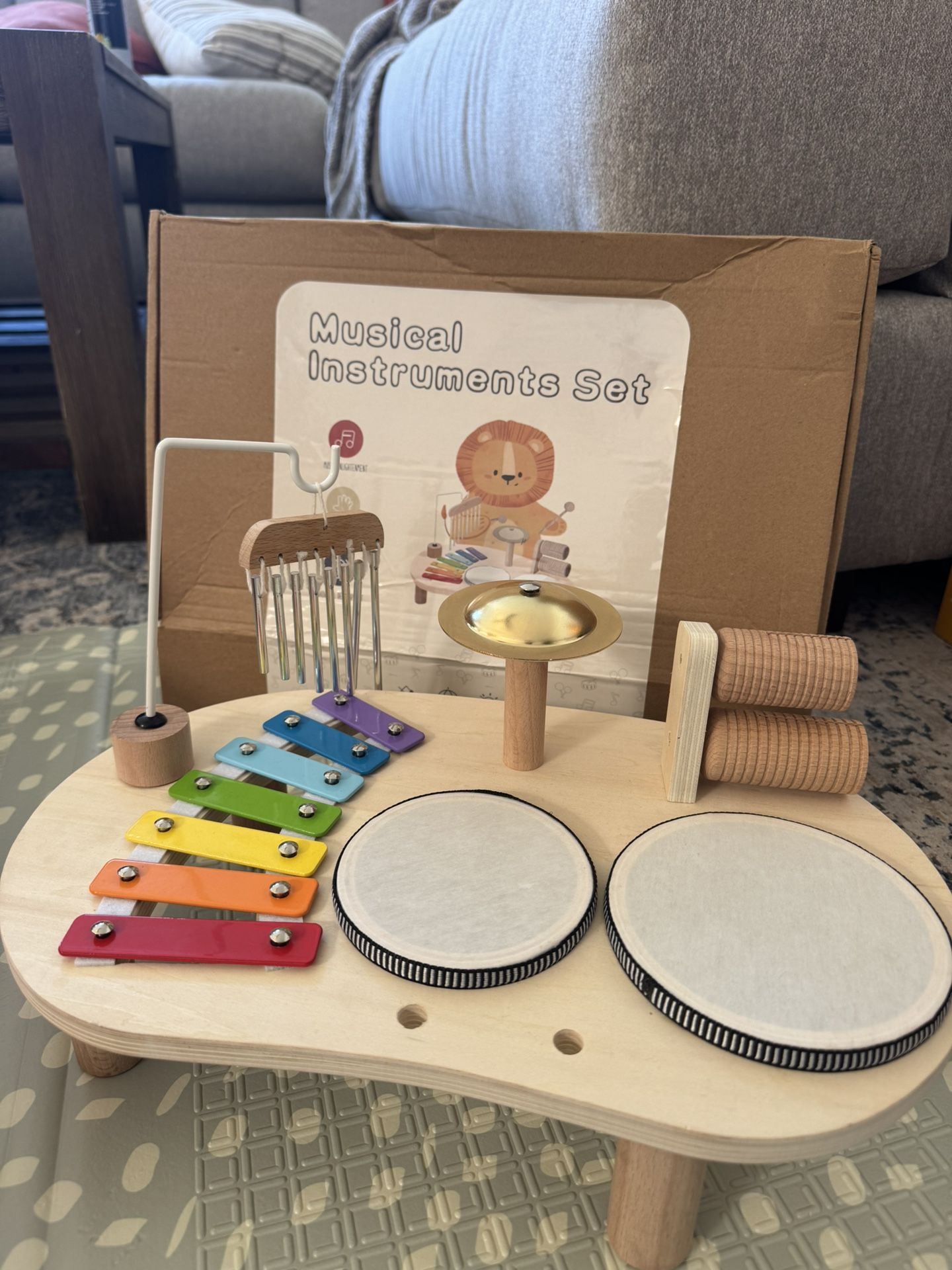 Musical instruments Set