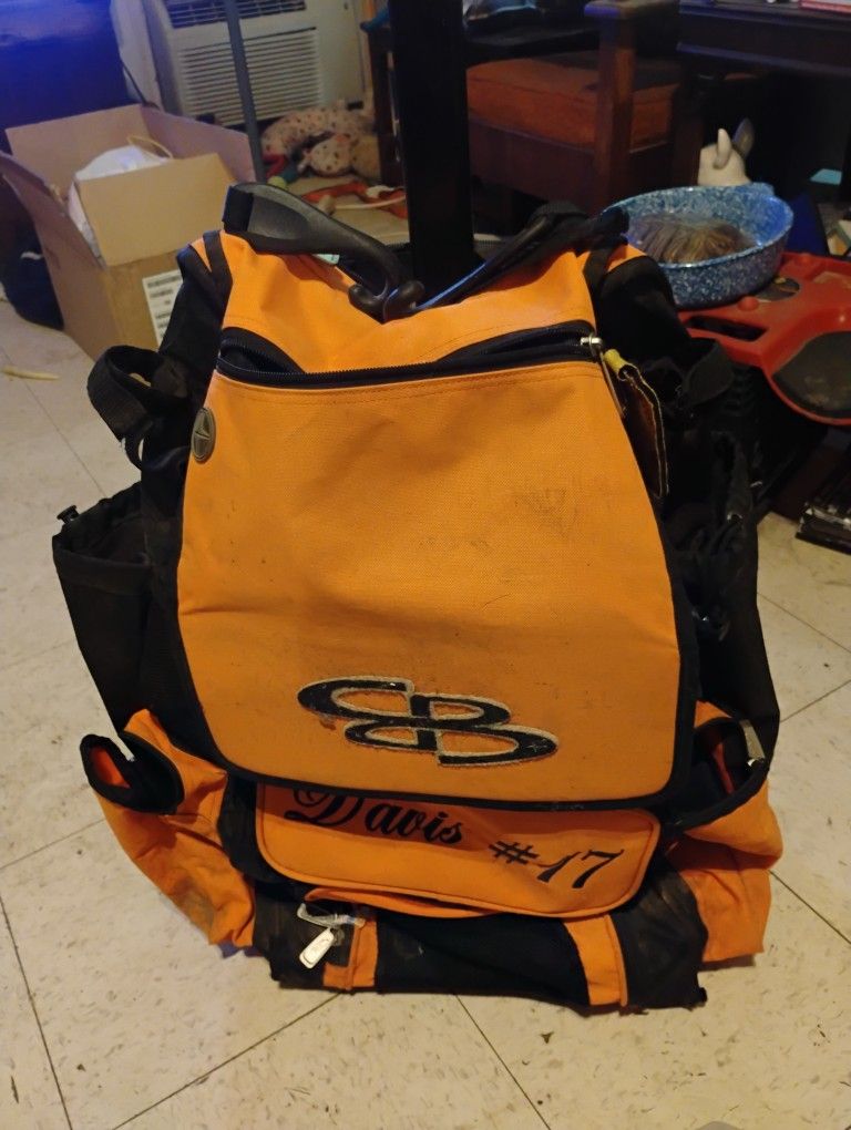 Ball And Bat Bag