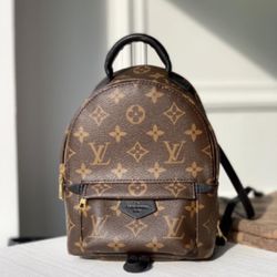 Small LV Book bag