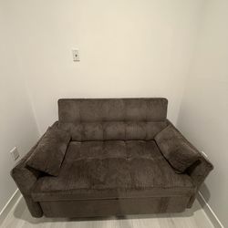 Love seat/ sofa bed