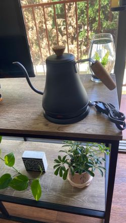 Electric tea kettle