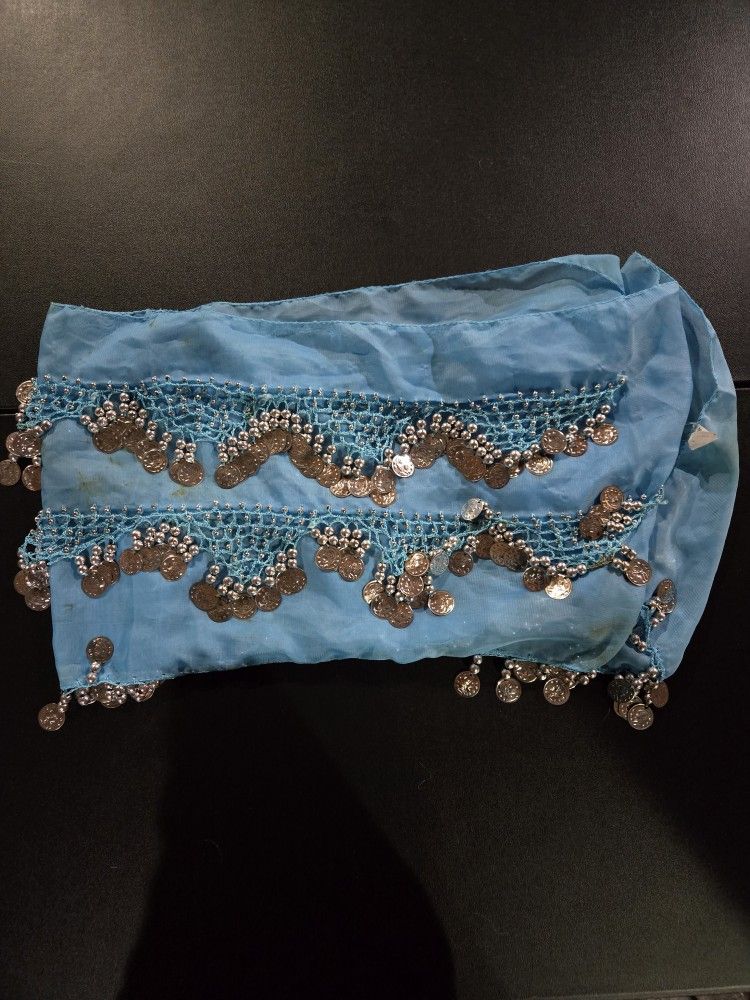 Belly Dancer Skirt
