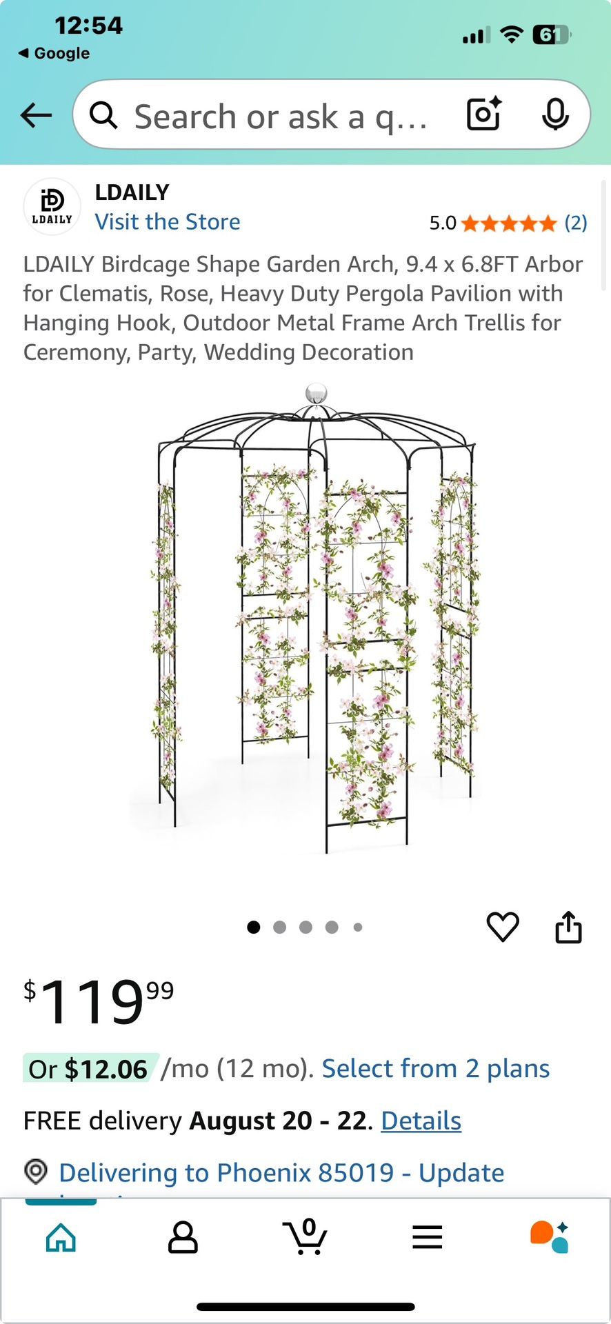 LDAILY Birdcage Shape Garden Arch, 9.4 x 6.8FT Arbor for Clematis, Rose, Heavy Duty Pergola Pavilion with Hanging Hook, Outdoor Metal Frame Arch Trell