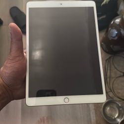 iPad Air+cell 256 Gig 