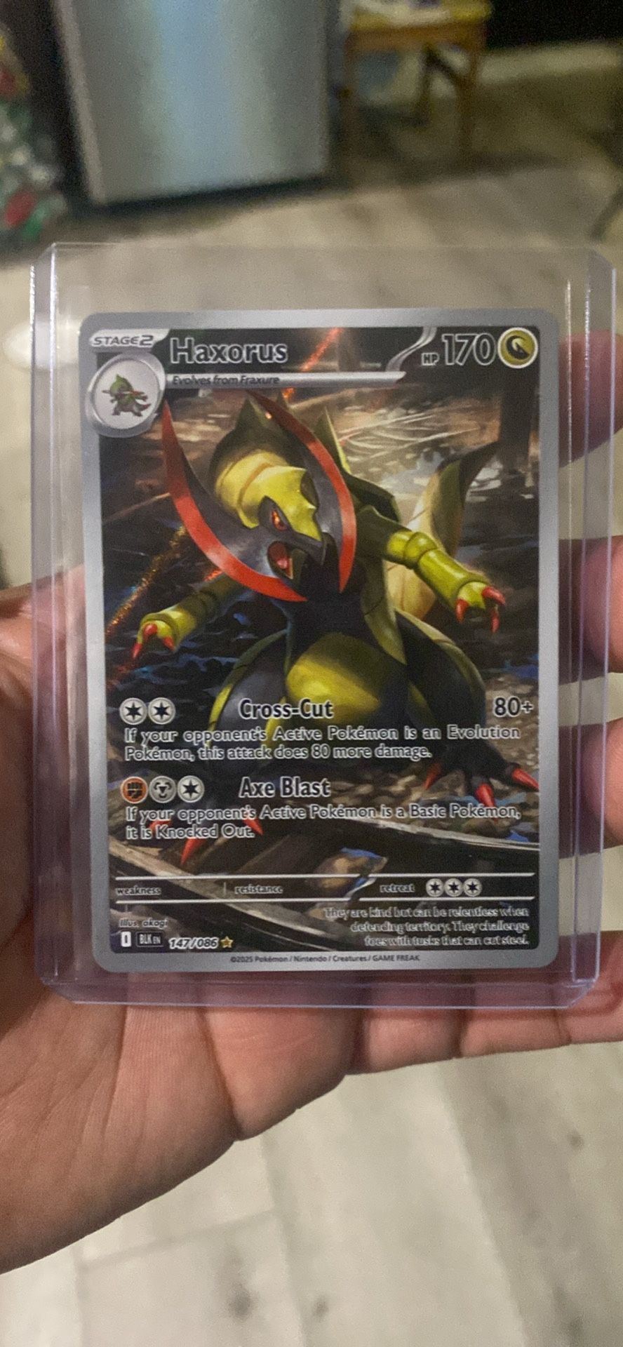 Pokémon Cards