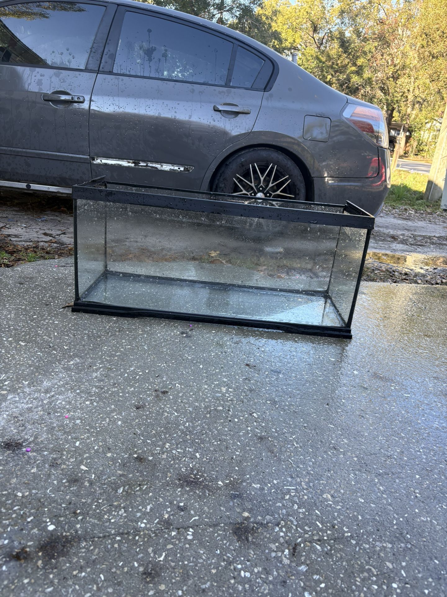 20 Gallon fish tank