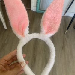 Bunny ears 
