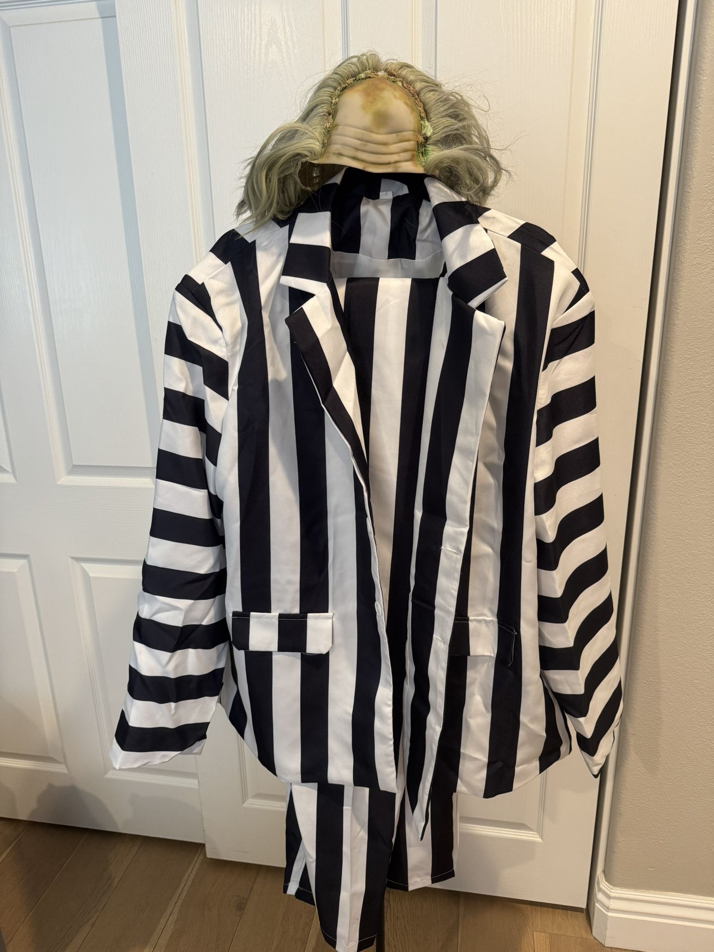 Men's Beetlejuice Beetlejuice Costume - Deluxe