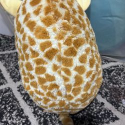 Stuffed Animal