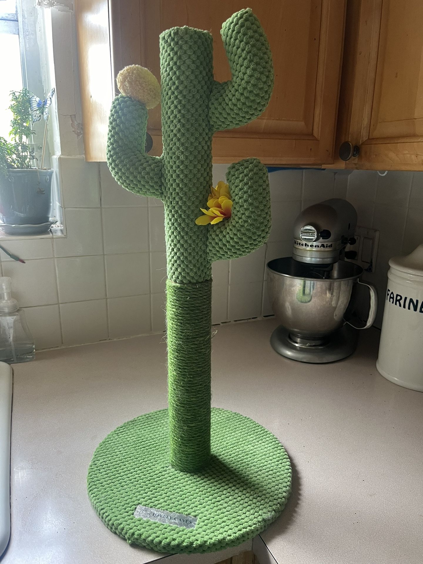 Cat Scratching Post - Cactus