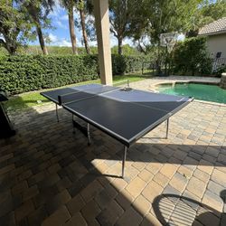 Ping Pong Table 