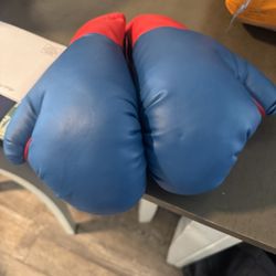 Boxing Gloves (Kid)