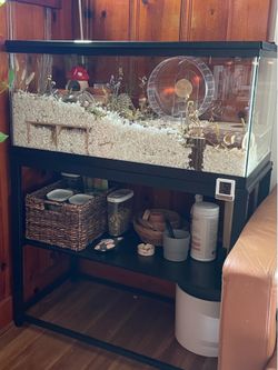 40 Gallon Tank with Stand and Metal Cover Lid