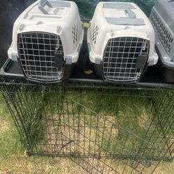 jaulas para perros 