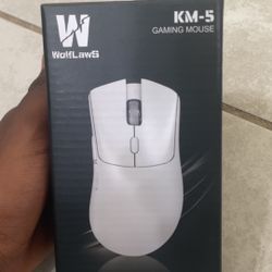 Gaming Mouse