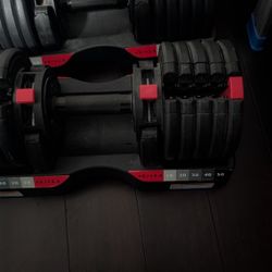 Dumbbells Adjustable Weider $100 