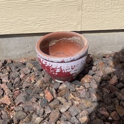 Flower Pot 