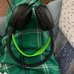 Headset/mic 