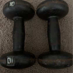 10 Pound Dumbbells 