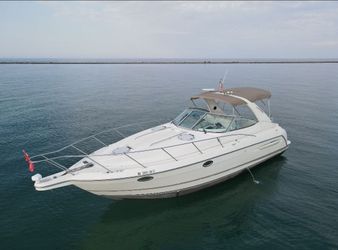 1999 Maxum 3300 scr