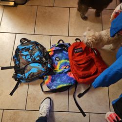Used Backpacks