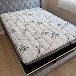Mattress And Box Spring Bamboo Pillowtop! Queen Size New!