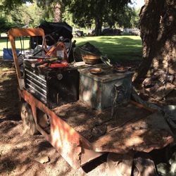 Millwright Taylor Dunn Carts