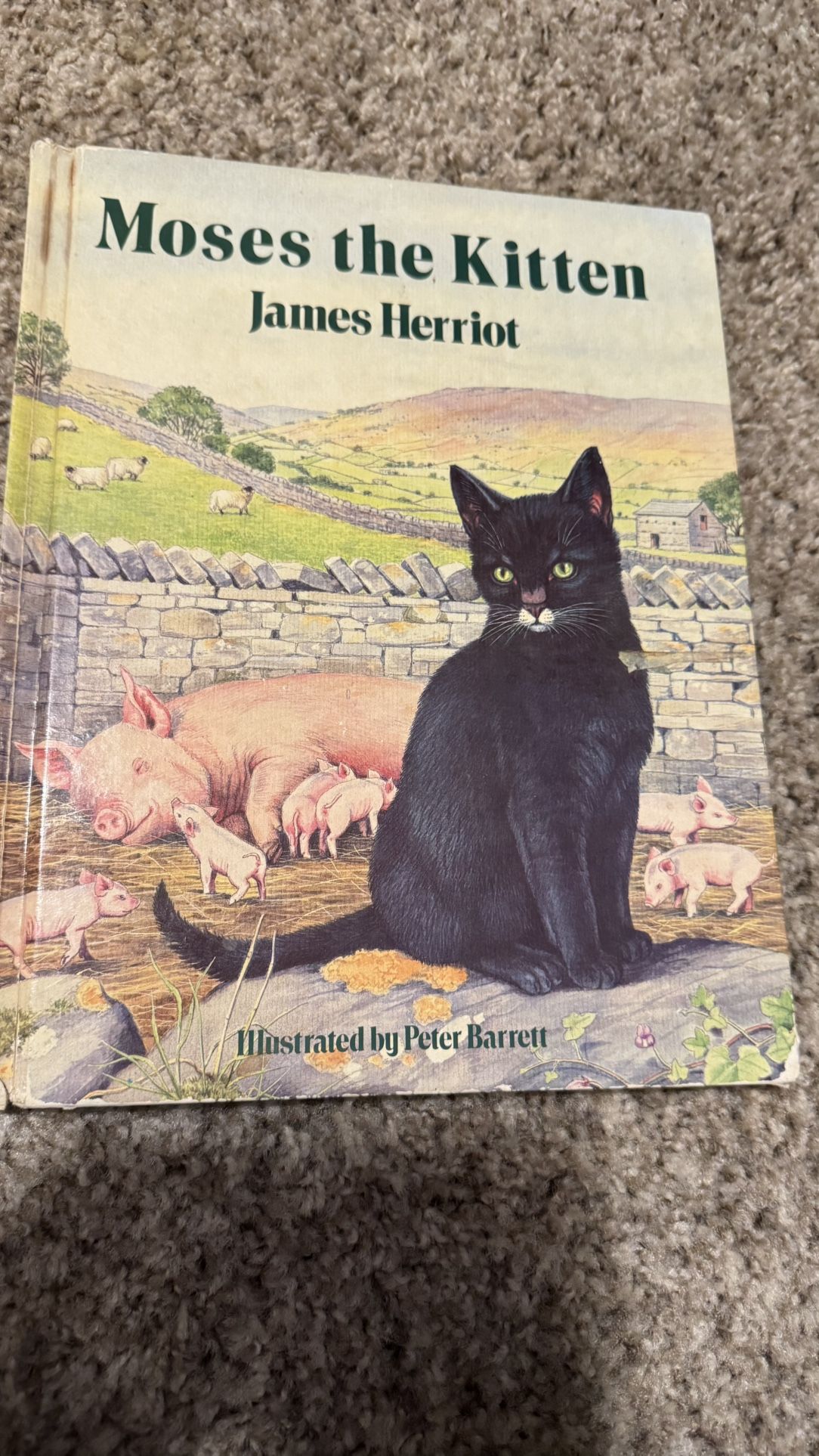 Vintage Book